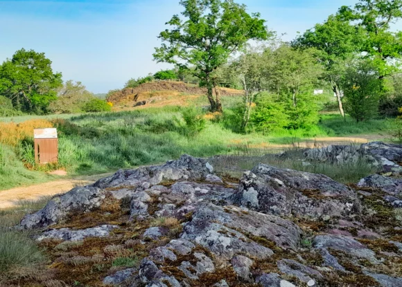Pourquoi venir en Brocéliande hors saison ? Une destination qui se découvre toute l’année